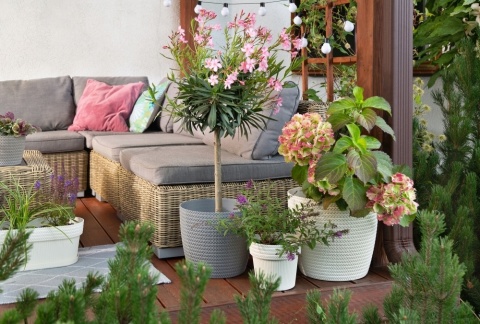 Osłonka MAGNOLIA JERSEY 300mm szary 27