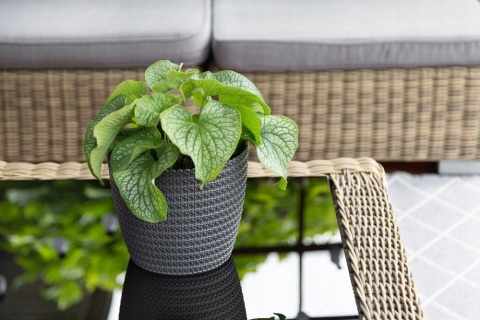 Osłonka MAGNOLIA JERSEY 300mm szary 27