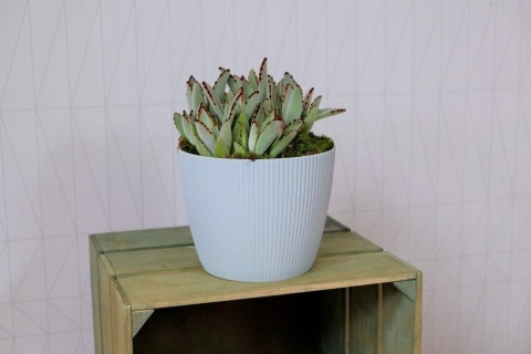 Osłonka-doniczka MAGNOLIA ECO coffee 300 jumper - espresso