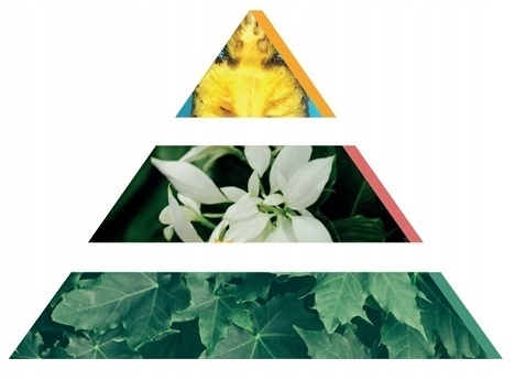 BISPOL DYFUZOR ZAPACHOWY DZ45-330 SŁONECZNIKI