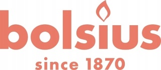 BOL PODGRZEWACZ A6 4H TS VAN