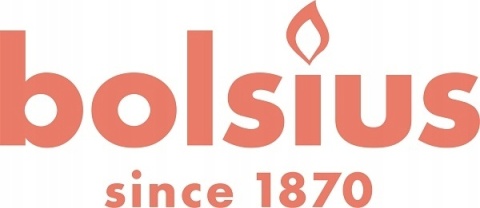 BOL PODGRZEWACZ A6 4H TS VAN