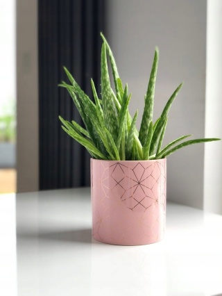 CYLINDER PINK & GOLD