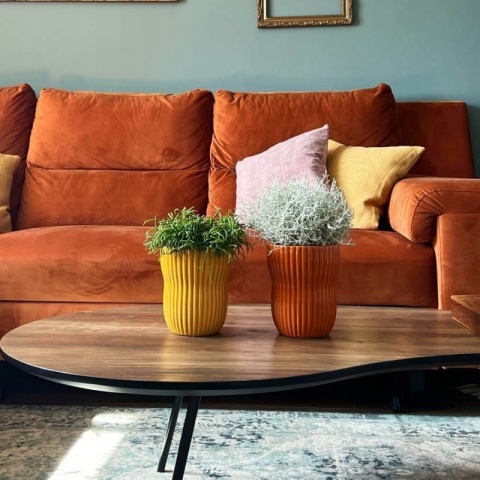 DONICA - MUSZTARDOWA CIEMNA