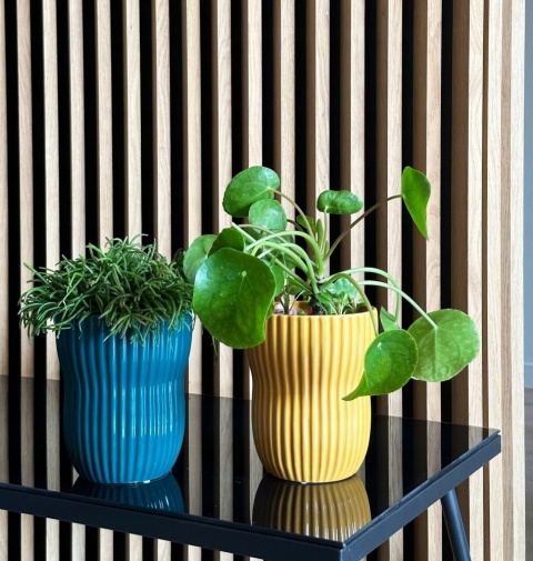 DONICA - TURKUSOWA CIEMNA