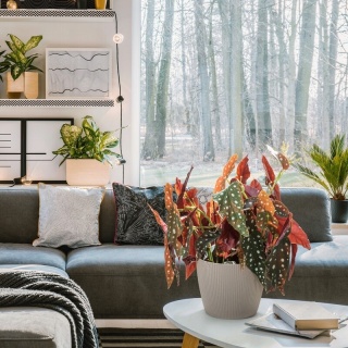 Donica MAGNOLIA 140 jumper ECO wood - piaskowy LA868-10