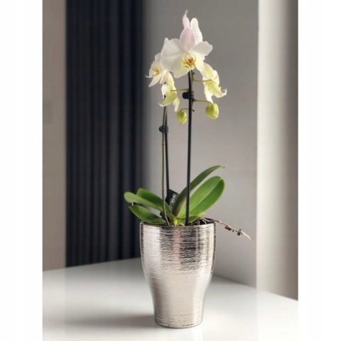 Doniczka grawer silver