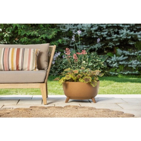 Misa ROMA ECO wood 290 jumper - naturalne drewno