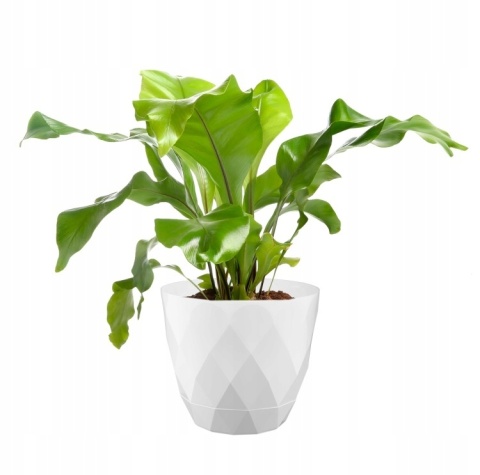 OSŁONKA KARO 14,5 z/p 23249 BIAŁY