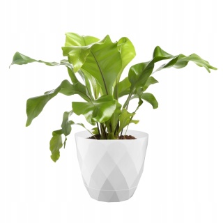 OSŁONKA KARO 27,5 z/p 28108 BEŻ