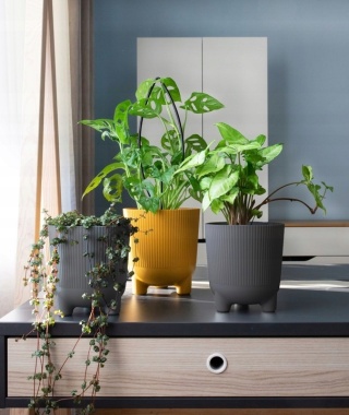 Osłonka ARIA 180 eco wood jumper - szary LA221-27