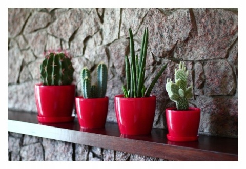 Osłonka-doniczka MAGNOLIA 135 - czerwony