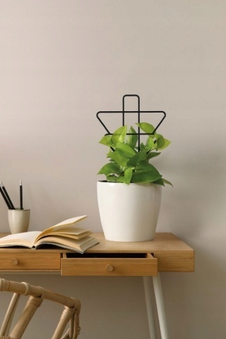 Podpórki do roślin geometryczne - czarny LA622-04