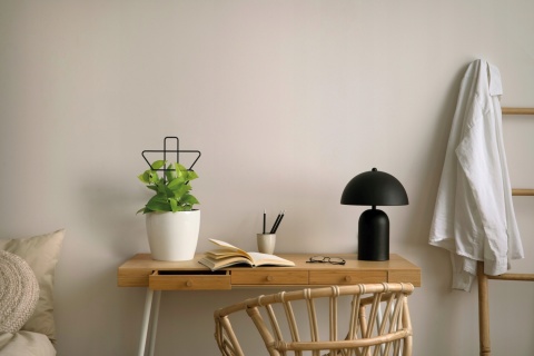 Podpórki do roślin geometryczne - czarny LA622-04