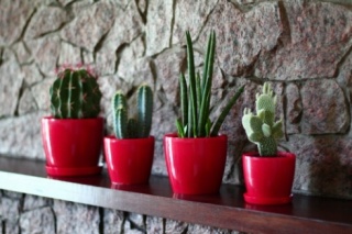 Podstawka nr 2 - czerwony