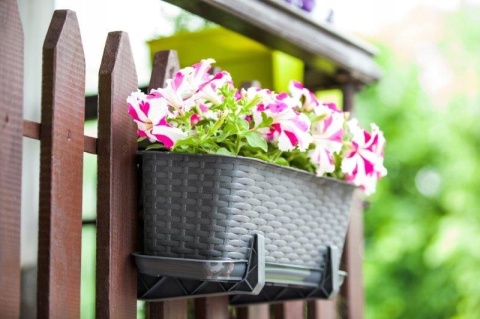 UCHW. DON.BALK. RATTAN KPL 23837 KARMEL