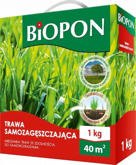 BIOPON TRAWA SAMOZAGĘSZCZAJĄCA 0,3KG - MIESZANKA KWALIFIKOWANA BIOPON TRAWA SAMOZAGĘSZCZAJĄCA 0,3KG - MIESZANKA KWALIFIKOWANA