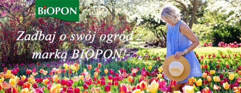 BIOPON TRAWA SAMOZAGĘSZCZAJĄCA 1KG - MIESZANKA KWALIFIKOWANA BIOPON TRAWA SAMOZAGĘSZCZAJĄCA 1KG - MIESZANKA KWALIFIKOWANA