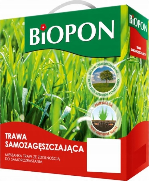 BIOPON TRAWA SAMOZAGĘSZCZAJĄCA 1KG - MIESZANKA KWALIFIKOWANA BIOPON TRAWA SAMOZAGĘSZCZAJĄCA 1KG - MIESZANKA KWALIFIKOWANA