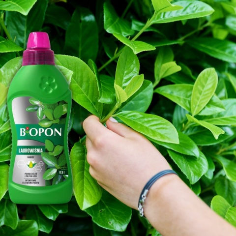 BOPON - NAWÓZ DO LAUROWIŚNI PŁYN 0,5L BOPON - NAWÓZ DO LAUROWIŚNI PŁYN 0,5L