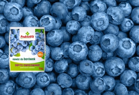 NAWÓZ FRUKTOVIT DO BORÓWEK 5kg (170)*
