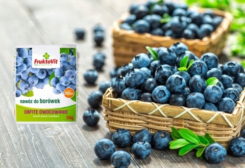 NAWÓZ FRUKTOVIT DO BORÓWEK 5kg (170)*