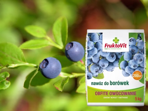 NAWÓZ FRUKTOVIT DO BORÓWEK 5kg (170)*
