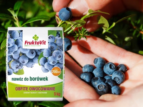 NAWÓZ FRUKTOVIT DO BORÓWEK 5kg (170)*