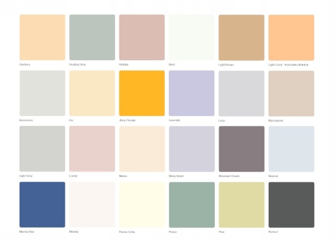 DESIGNER COLOUR IDEAL 2,5L