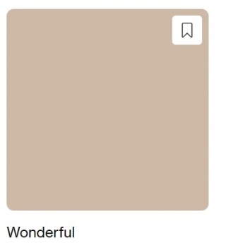 DESIGNER COLOUR WONDERFUL 2,5L