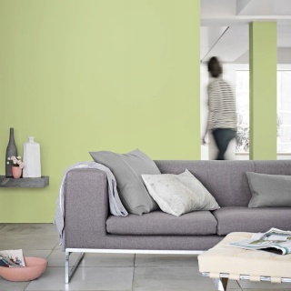 Farba DULUX Kolory Świata Bambusowy Gaj 5L