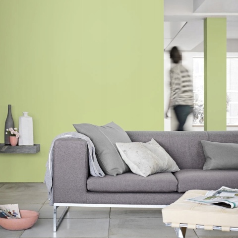 Farba DULUX Kolory Świata Bambusowy Gaj 5L