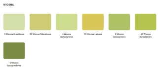 Farba NOBILES Pory Roku jesień cynamonowa 2,5L