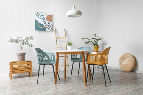 Śnieżka EKO plus 10L