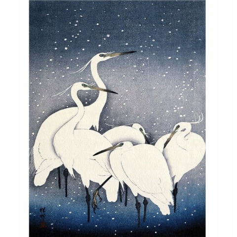 Plakat Białe czaple w śniegu 60x84 O. Koson A1