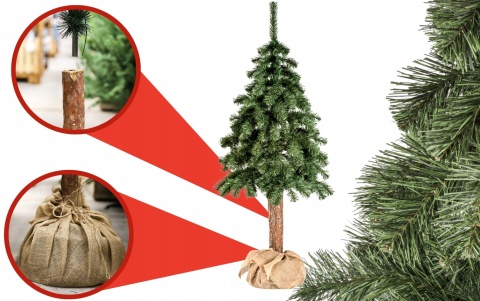 CHOINKA NA PNIU 1,80M