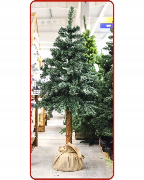 CHOINKA NA PNIU 1,80M