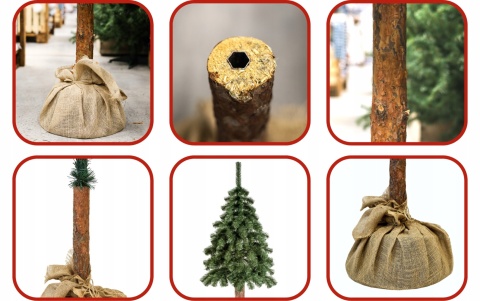 CHOINKA NA PNIU 1,80M