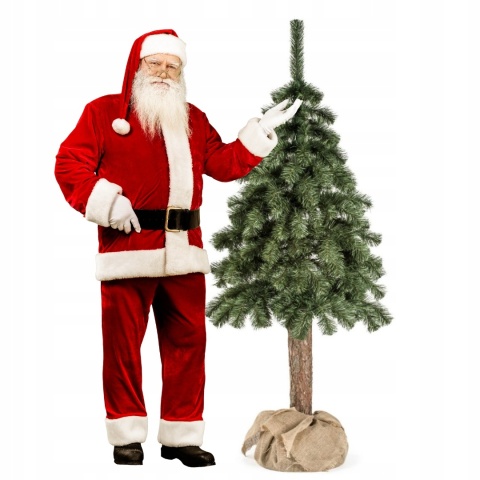 CHOINKA NA PNIU 1,80M