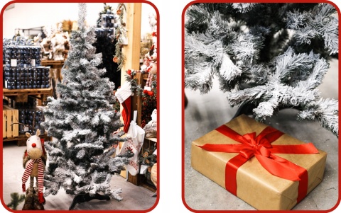 Choinka Sosna Lux Ośnieżona 180cm /BA