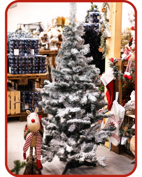 Choinka Sosna Lux Ośnieżona 180cm /BA