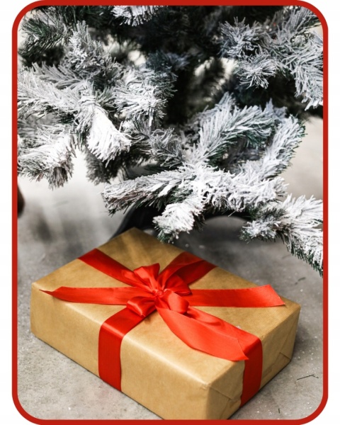 Choinka Sosna Lux Ośnieżona 220cm /BA