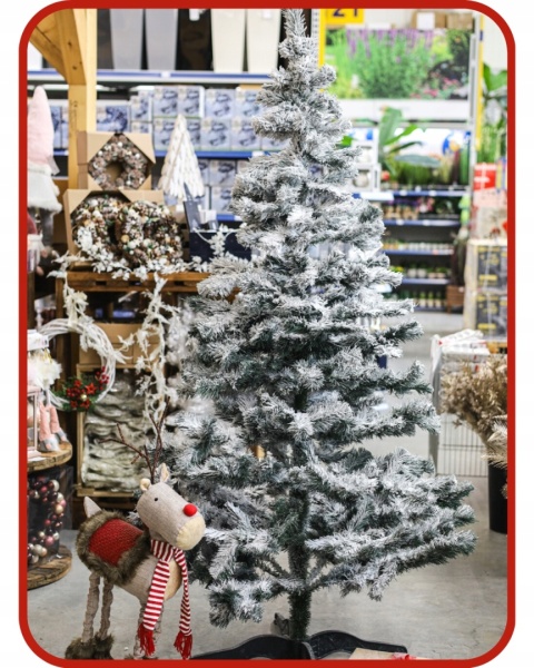 Choinka Sosna Lux Ośnieżona 220cm /BA