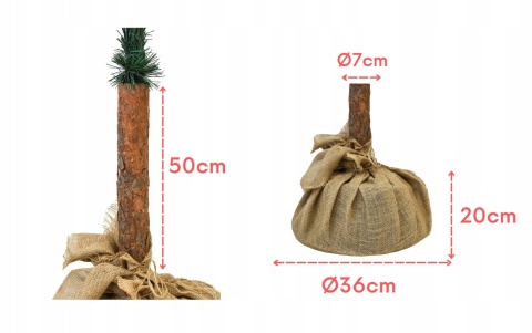 Choinka Świerk Diamentowy na Pniu 180cm /BA