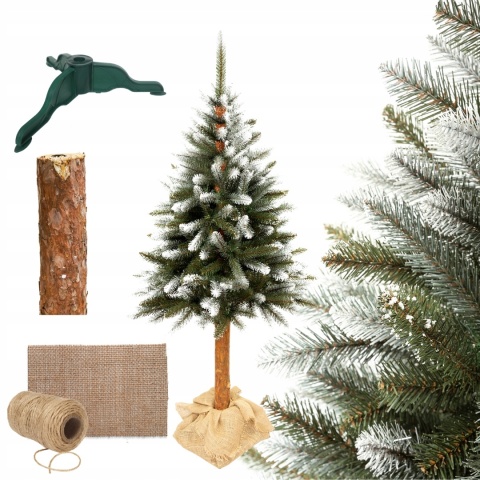 Choinka Świerk Diamentowy na Pniu 220cm /BA