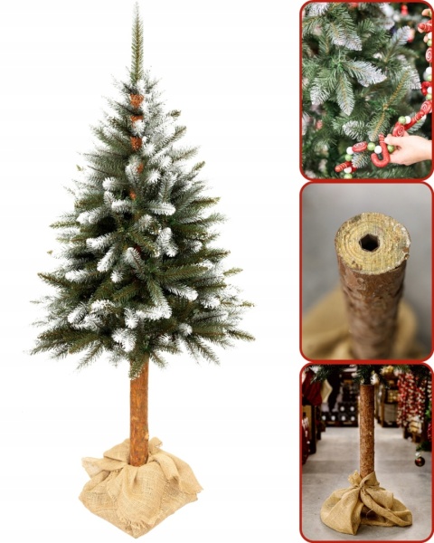 Choinka Świerk Diamentowy na Pniu 220cm /BA