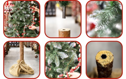 Choinka Świerk Diamentowy na Pniu 220cm /BA