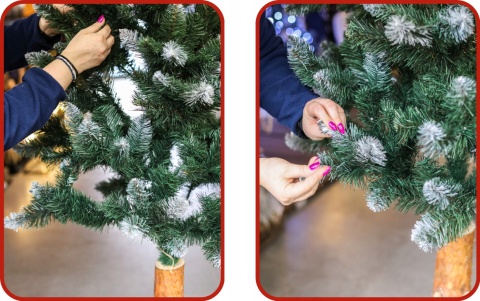 Choinka Świerk Diamentowy na Pniu 220cm /BA