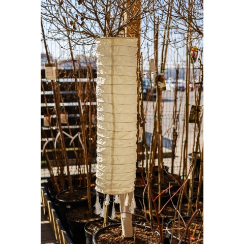 Lampion wiszący solarny biały BOHO 102 cm Lumineo