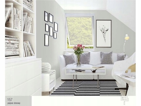 Śnieżka Barwy Natury farba do ścian pejzaż zimowy 157 poj. 5,0L